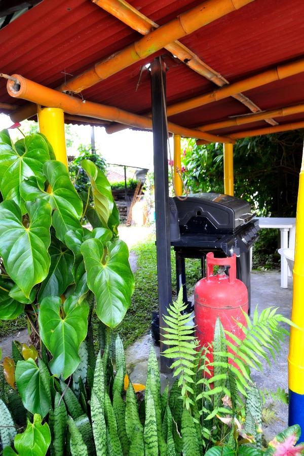 Casa Finca Villa Luz A 800 Mts Del Parque Del Cafe Montenegro Zewnętrze zdjęcie